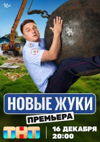 Жуки бесплатно